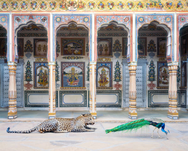 The Waiting Game, Poddar Haveli, Nawalgarh, 2021. Série India Song