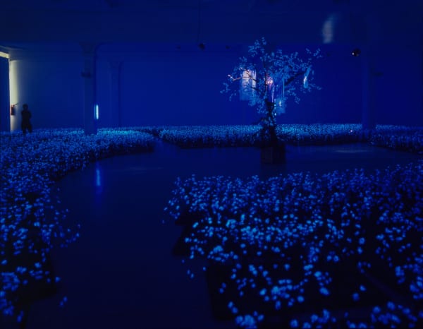 01 Jardin Secret Yun2001