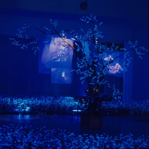 02 Jardin Secret Yun2001