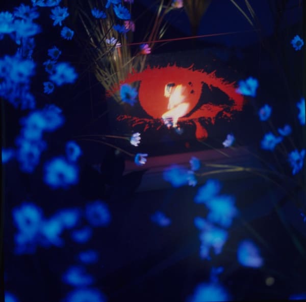 09 Jardin Secret Yun2001