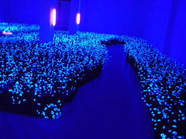 911 Jardin Secret Yun2001