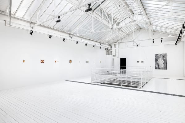 Je Re Mie Cosimi 7509 Web