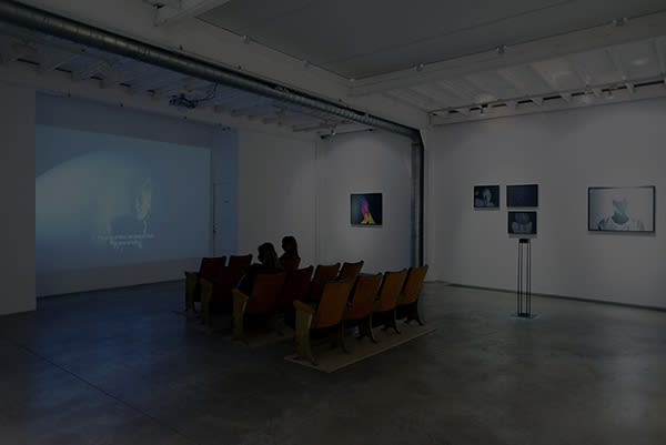 Photo Philippe Gauchet