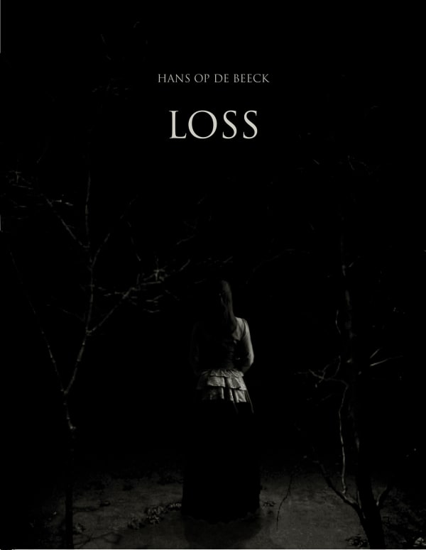Hans Op de Beeck - Loss