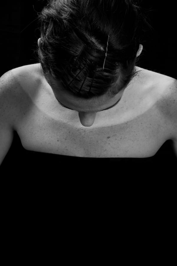 Mais Où Est Donc Ornicar ? Commissariat de Dominique Abensour