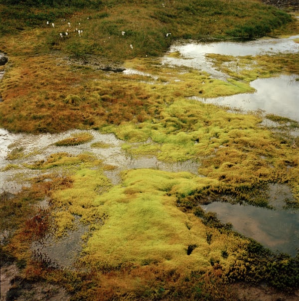 Felipe Vasquez Performance — Thursday, December 10, 6–9 PM | Être collectif — De la convivialité par nature , 17...