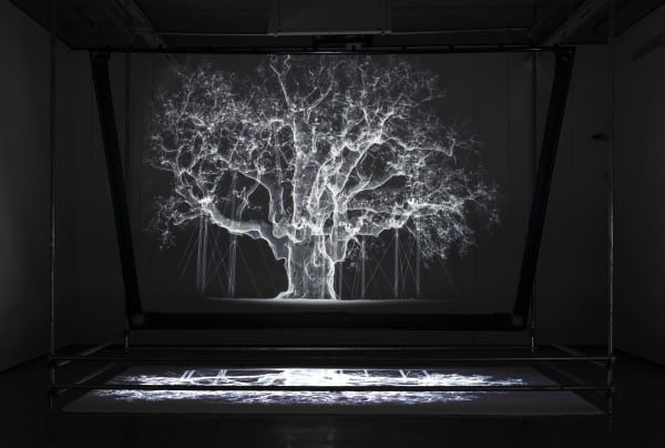 Mat Collishaw Albion, 2017 Aluminium, media player, Mirror, Paint, Scaffolding rig, Scretching accessories, Transparent mirror film, Video Projector, wood 430 x 540 x 460 cm