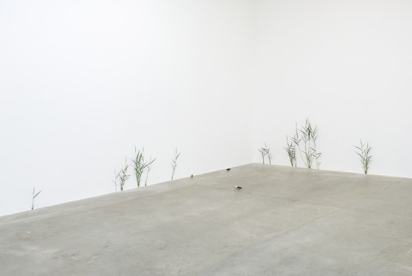 Tony Matelli. The Idiot, Personal exhibition