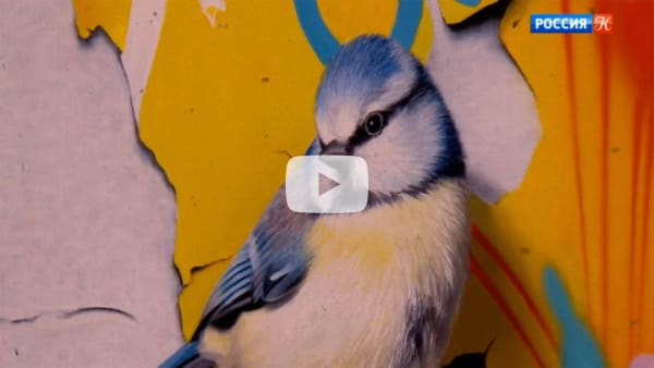 Mat Collishaw. Gary Tatintsian Gallery. Interview TV Culture