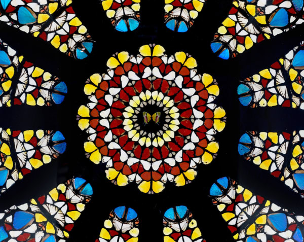Viewing Room | Damien Hirst. The Rose Window, Durham Cathedral, 2008