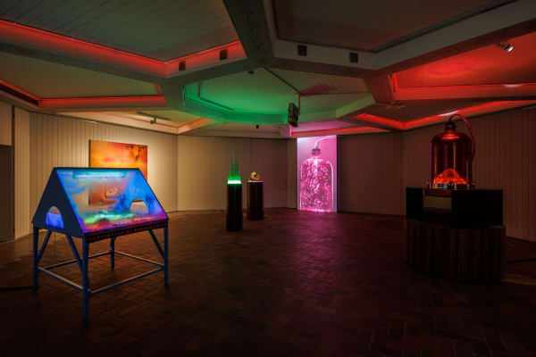 View of the 'Human Is' exhibition, Schinkel Pavillon © Photo: Frank Sperling | Schinkel Pavillon