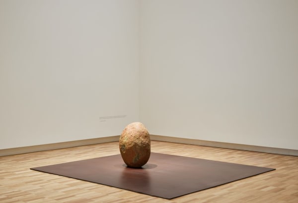 © Art Gallery of New South Wales and the artist. Photo by Felicity Jenkins.