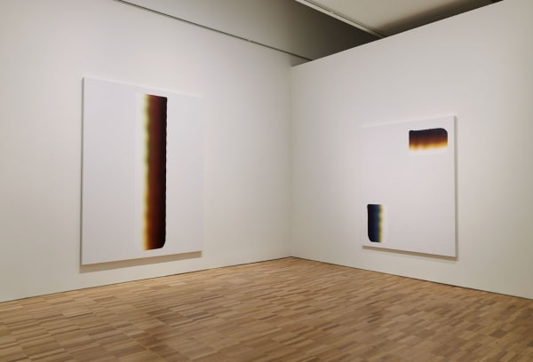 © Art Gallery of New South Wales and the artist. Photo by Felicity Jenkins.