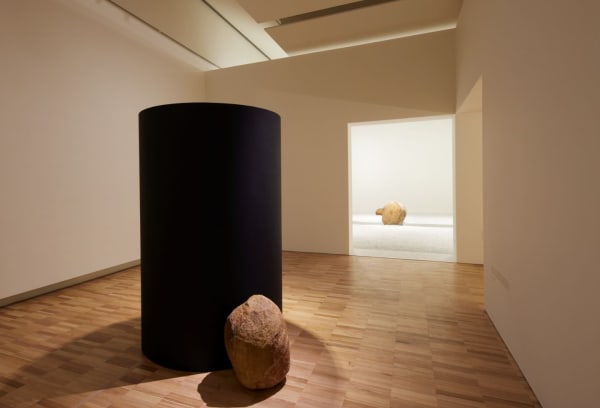 © Art Gallery of New South Wales and the artist. Photo by Felicity Jenkins.