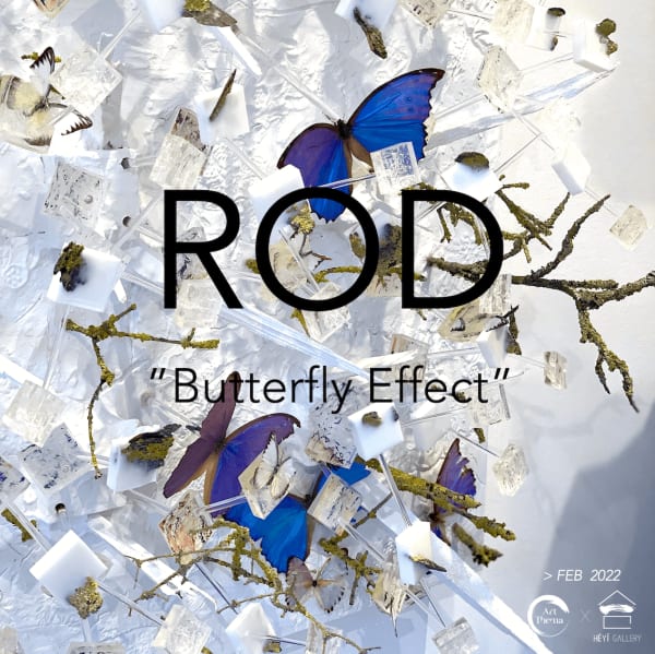 butterfly art installation rod exhibition art yi gallery brussels