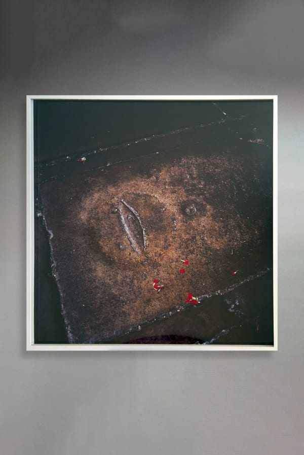 Timeless Rio Branco Artsy