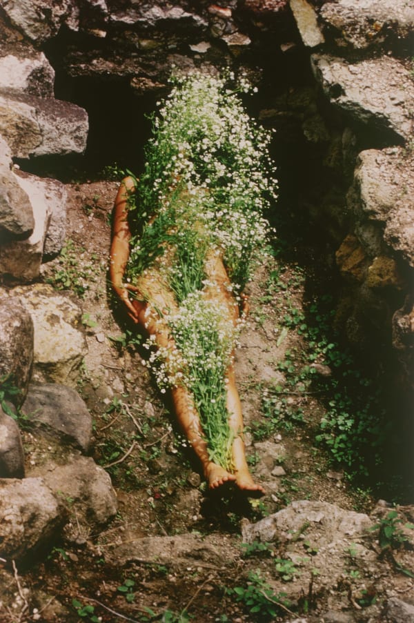 , Honoring Ana Mendieta. A trailblazing Visionary of Feminine Connection with Nature