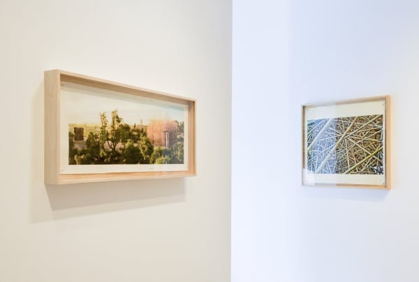 Can’t, Won’t, Don’t Stop