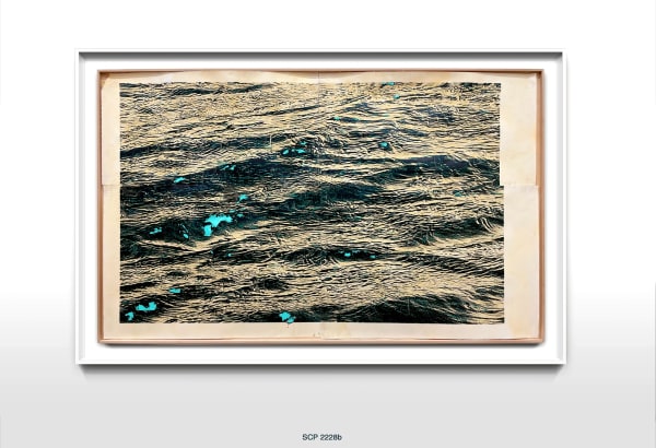 Scp 2228B