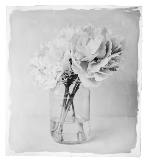 Peonies in Jar, 2022