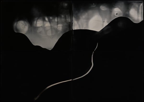 Elemental Forms Landscape No 30