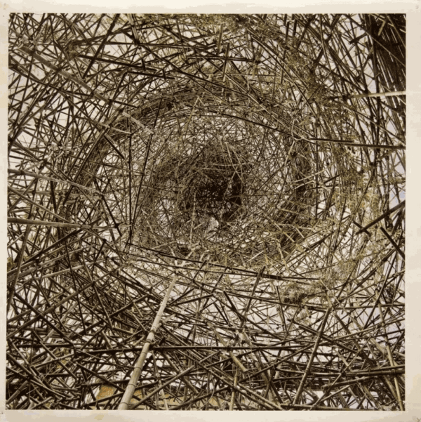 The Armory Show, NY, 2014