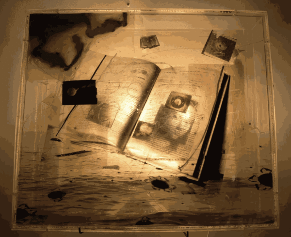 The AIPAD Show, NY, 2009