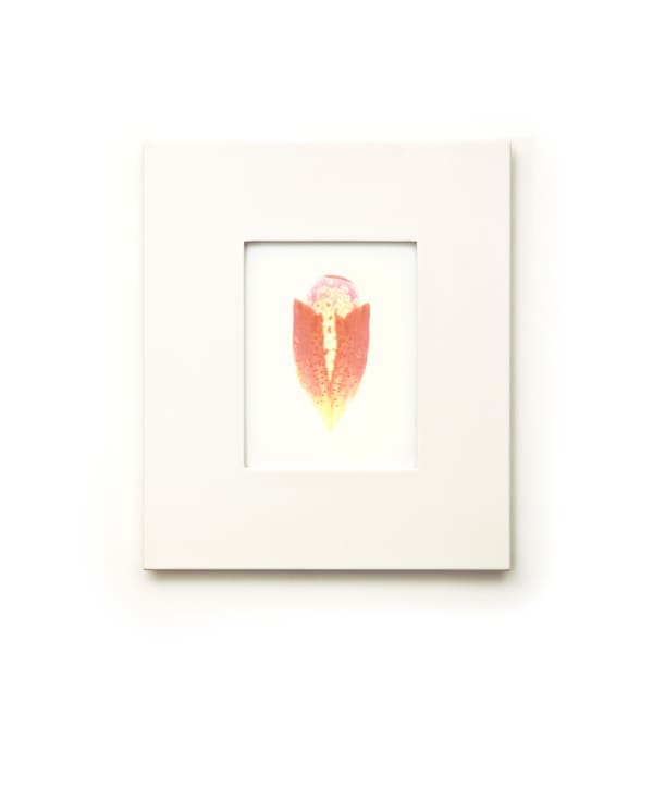 Art Platform, LA, 2011