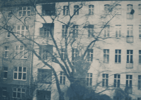 The Armory Show, NY, 2010