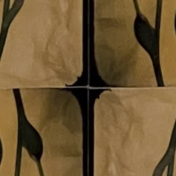 Liz Rideal: Seasonal Stills