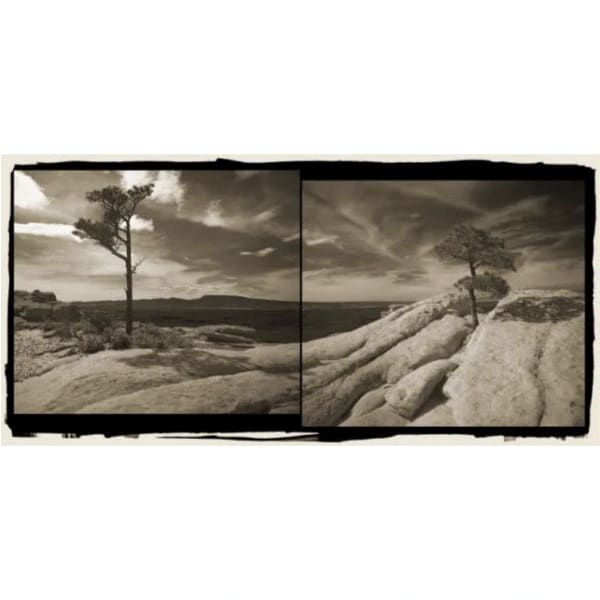 David Michael Kennedy: Sacred Land