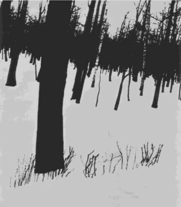 Edward Dimsdale & Allan Jenkins: Process & Print