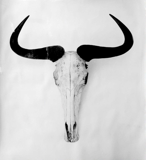 Stephen Inggs: Platteland