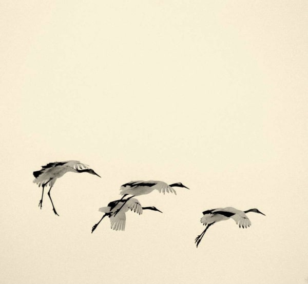 Masao Yamamoto