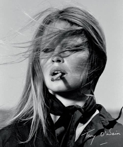 Terry O’Neill: Celebrity