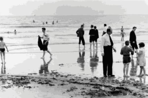 Elliott Erwitt: Snaps