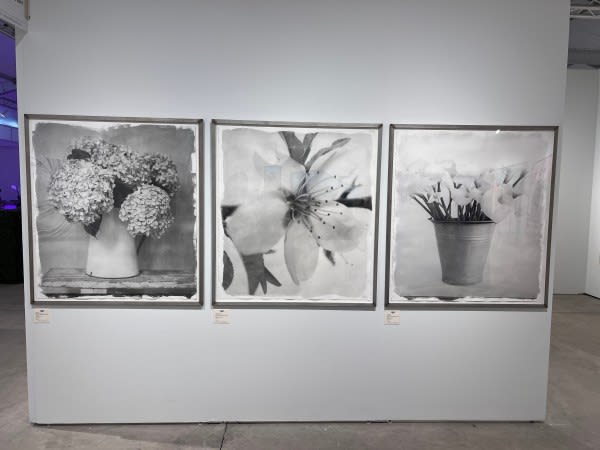 Installation view at Art Miami 23