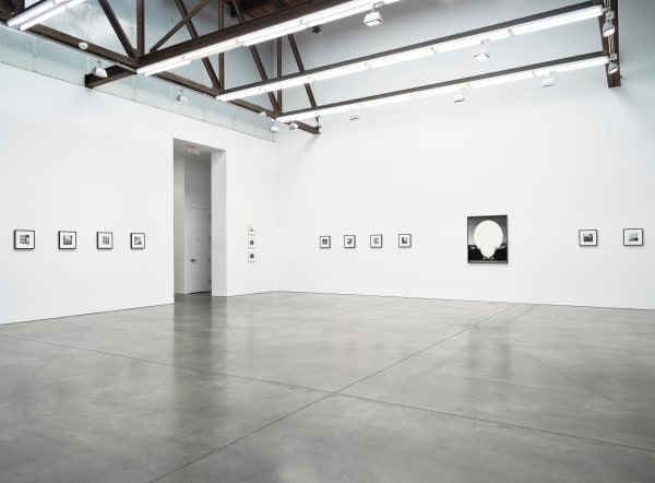 Joanne Leonard & Brittany Nelson Installation view September 7 – October 19, 2024 Luhring Augustine, New York