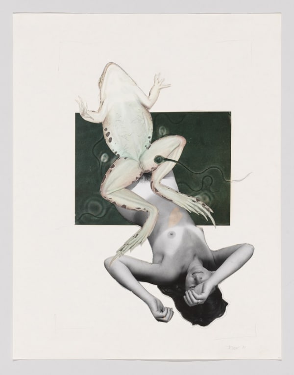 Joanne Leonard Untitled (Joanne, frog, and sperm) (1973) (courtesy Whitney Museum of American Art, New York; gift of Jeremy Stone)