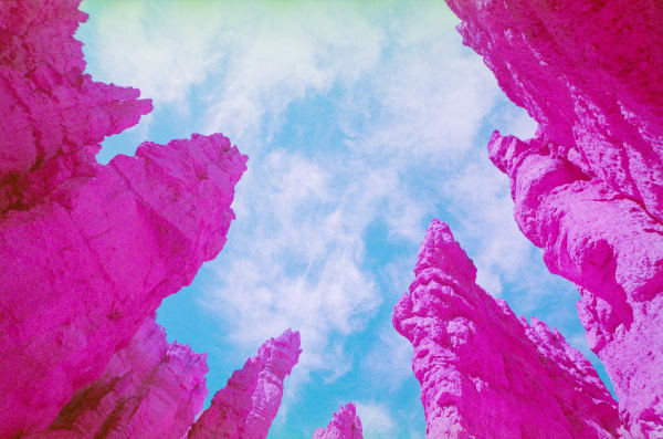 Back to the Future: Life in Technicolor A Solo Presentation by Javiera Estrada