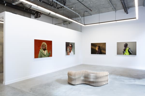 Pieter Hugo: Californian Wildflowers