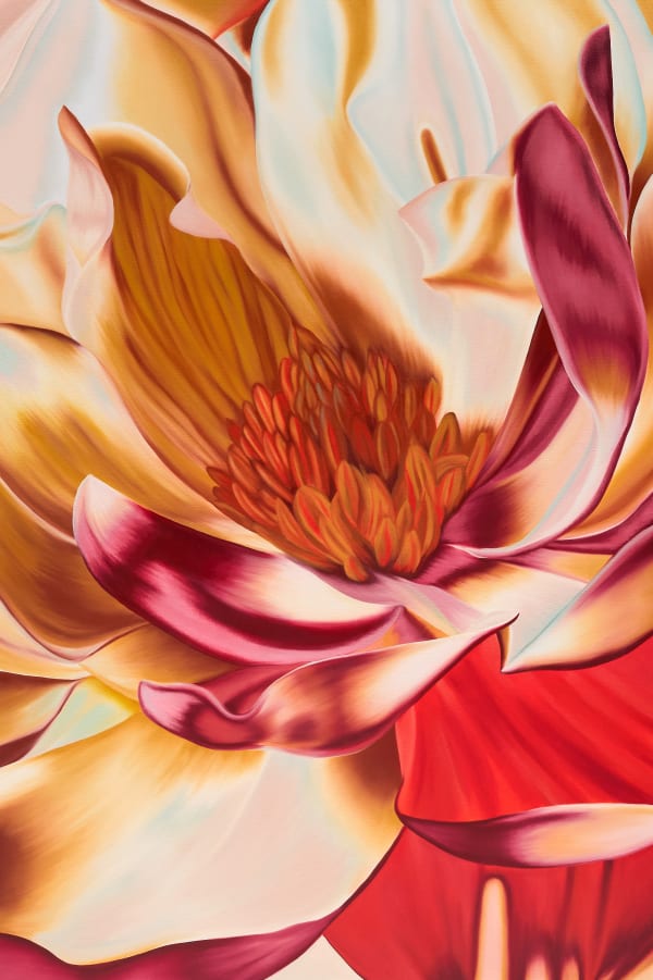 Douglas de Souza - Magnolia, 2025