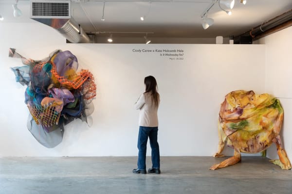 Lk Is It Wednesday Yet 4479 Sm