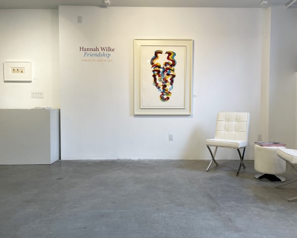 Hannah Wilke Install 7