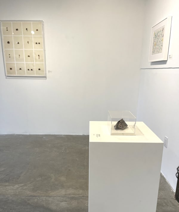 Hannah Wilke Install 8