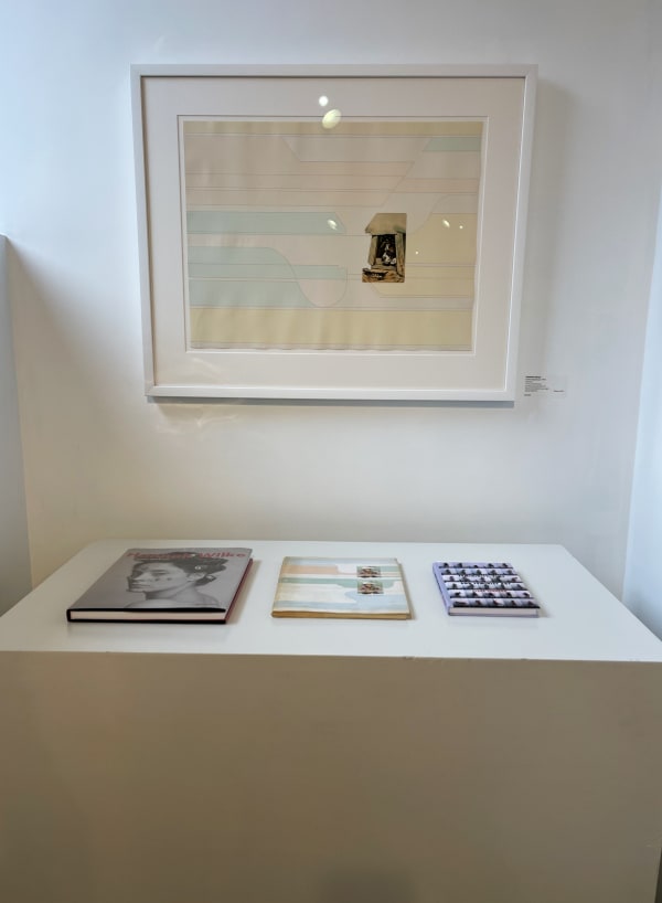 Hannah Wilke Install 9