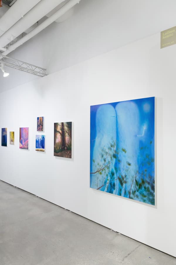 Future Fair 2024 Install View 3