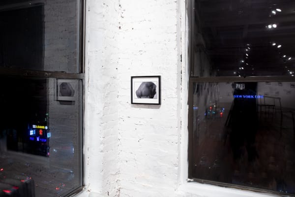 221021 Steven Cuffie Women 37 Small