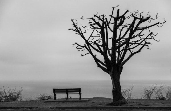 Leonard Yanovsky On The Cliff