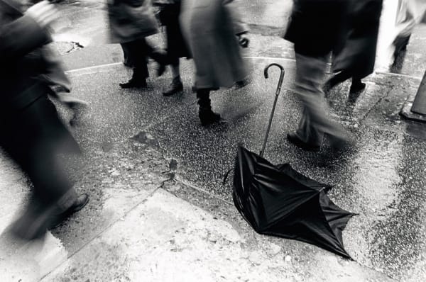 © Leland Bobbe, Black Swan